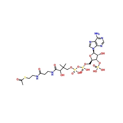 CAS 102029-73-2 |Sal de sodi acetil coenzim A